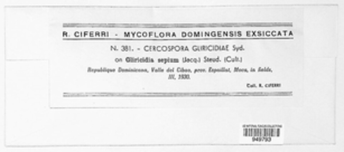 Passalora gliricidiae image